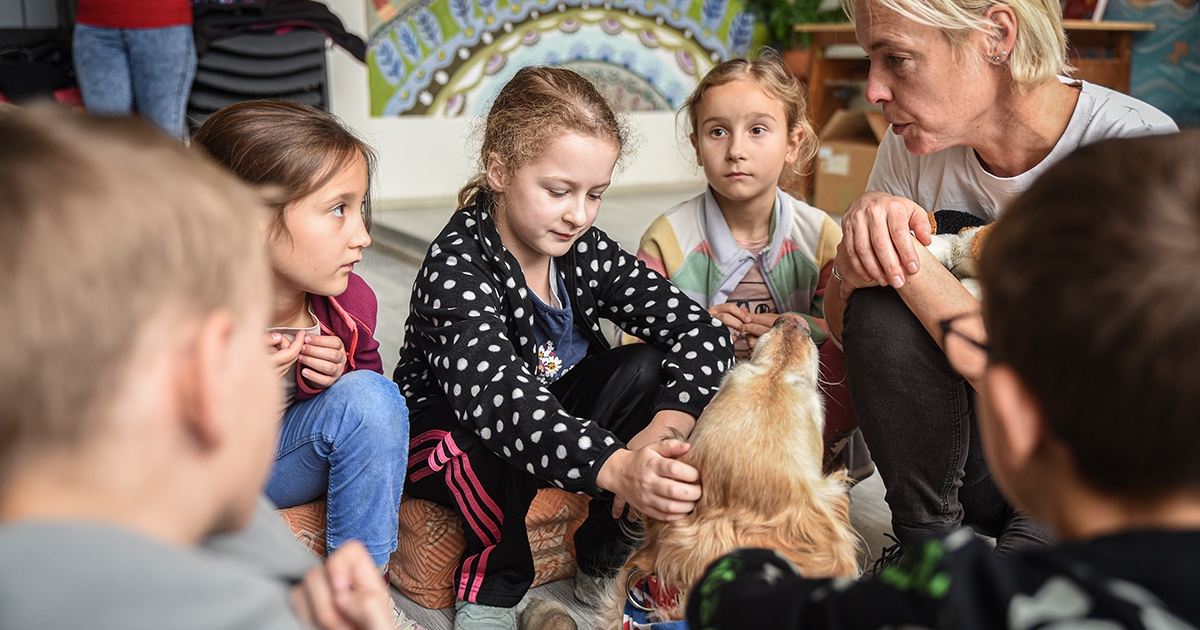 Felelős állattartás Mogyoróval